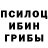 Псилоцибиновые грибы прущие грибы mbh nanung