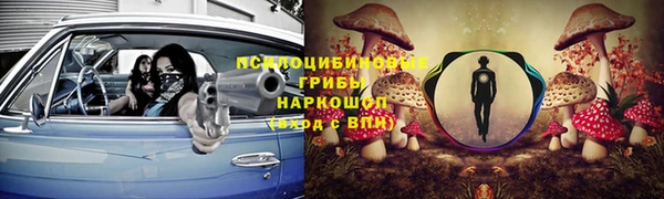 сатива Баксан