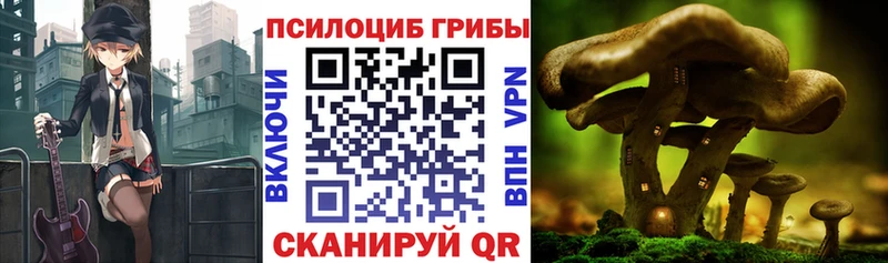 Купить где  Сковородино  Псилоцибиновые грибы ЛСД 